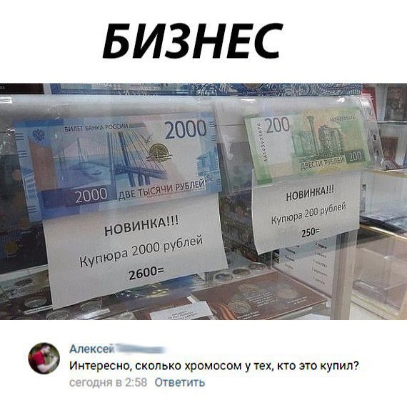 БИЗНЕС Алексей _ Интересно сколько хромосом у тех кто это купил г эгипнп Эд СУВЕТИУЬ