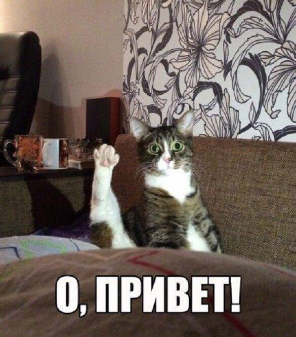 0 ПРИВЕТ