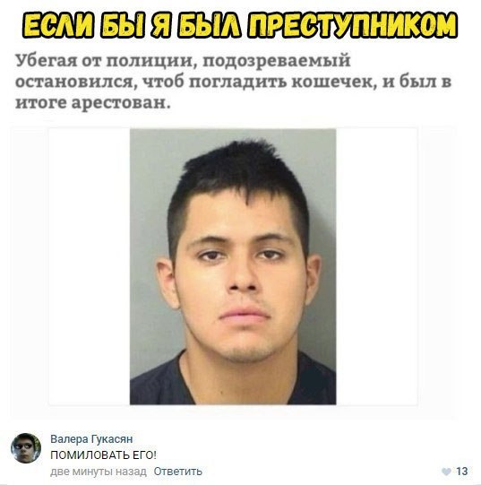 ПБЁПШБЁЩШ Убегая от полиции подозреваемый Остановился чтоб погладить кошечек и 65 В итоге арестован Валера Гухзкжн помиловль егоу две щиты наадд Ответить тз