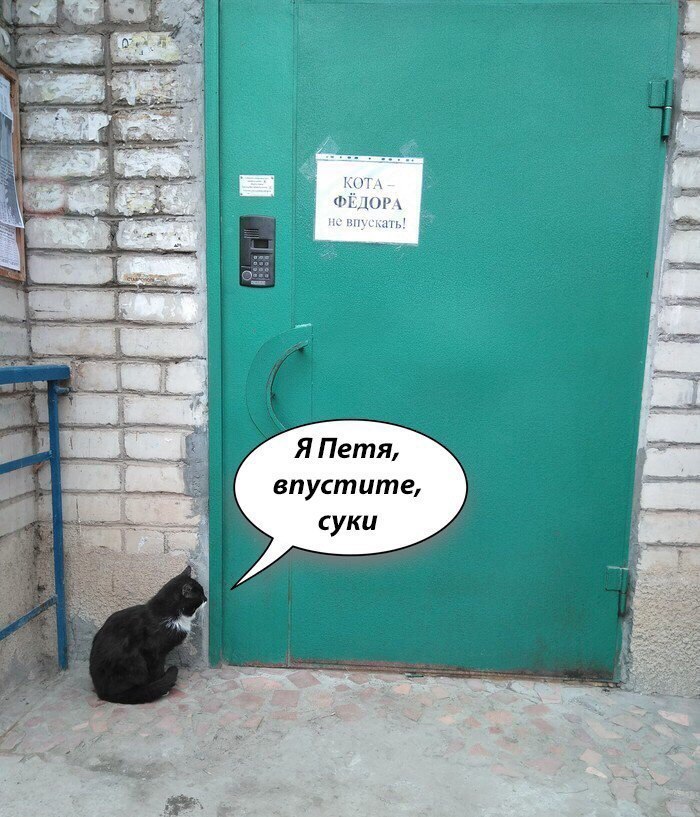 Я Петя впустите суки