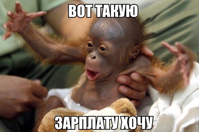 воттт тднию
