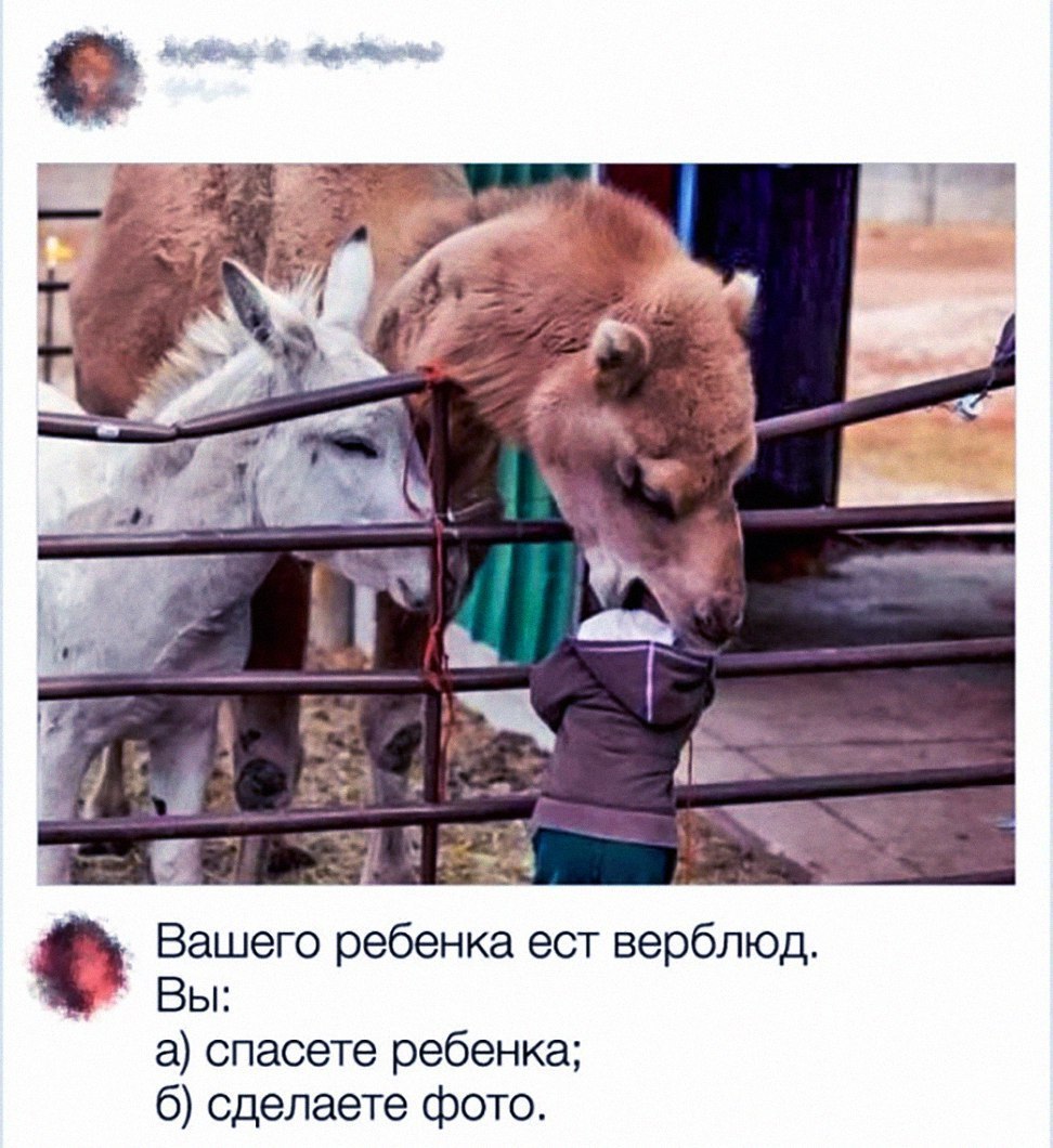 Вашего ребенка ест верблюд Вы а спасете ребенка 6 сделаете фото