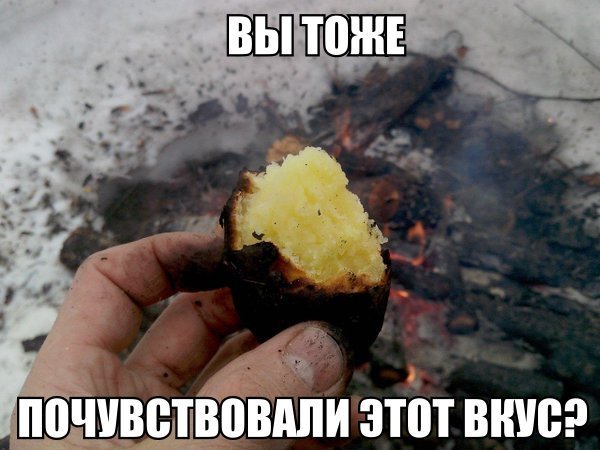 Чё _ шва Ёпвппи этот вниз