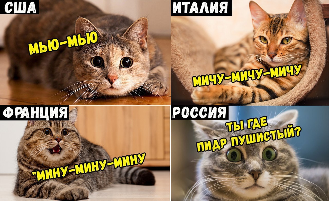ИТАЛИЯ
