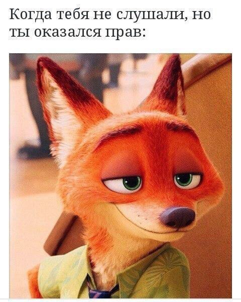 Когда тебя не слушали но ты оказался прав