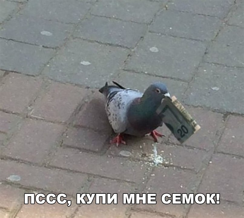 Аты___ _Д ЁЁПШ К