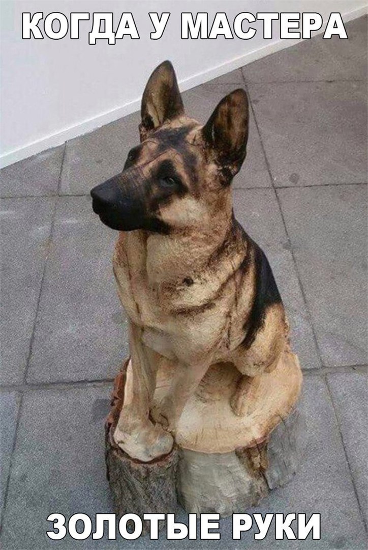 Ё У РА золоты РУКИ