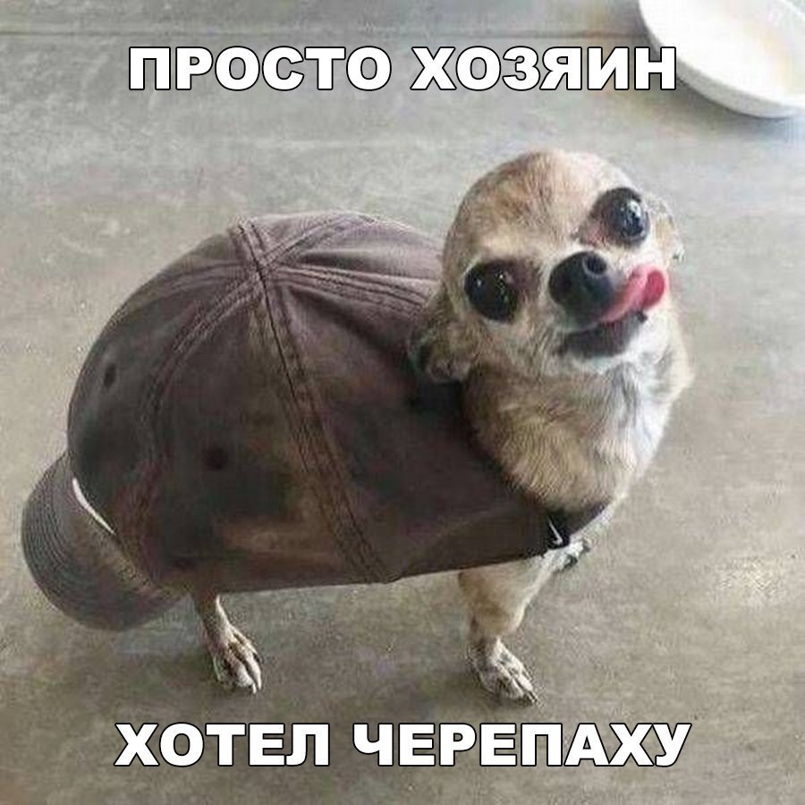 ил Ъэёёігё ім