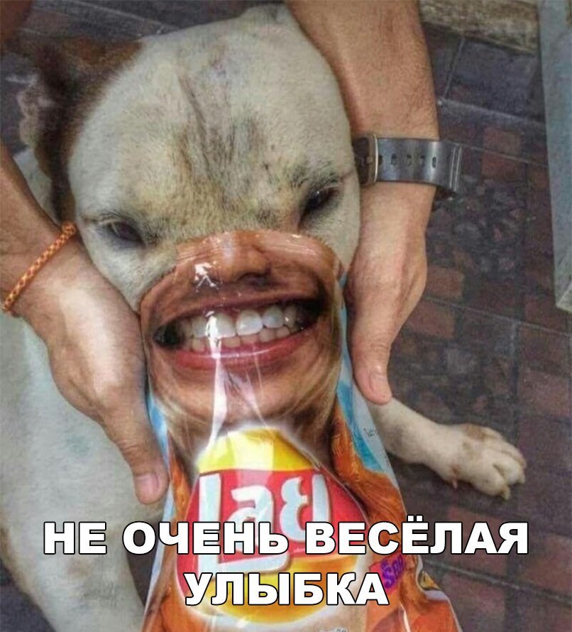 ОЧЕНЬВЕСЁЛАЯ Уилывд С