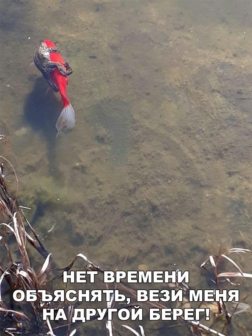НЕТ ВРЕМЕНИ овъясняуь вези_мвя_ НАдРУГОЙ БЕРЕГР ч Х х