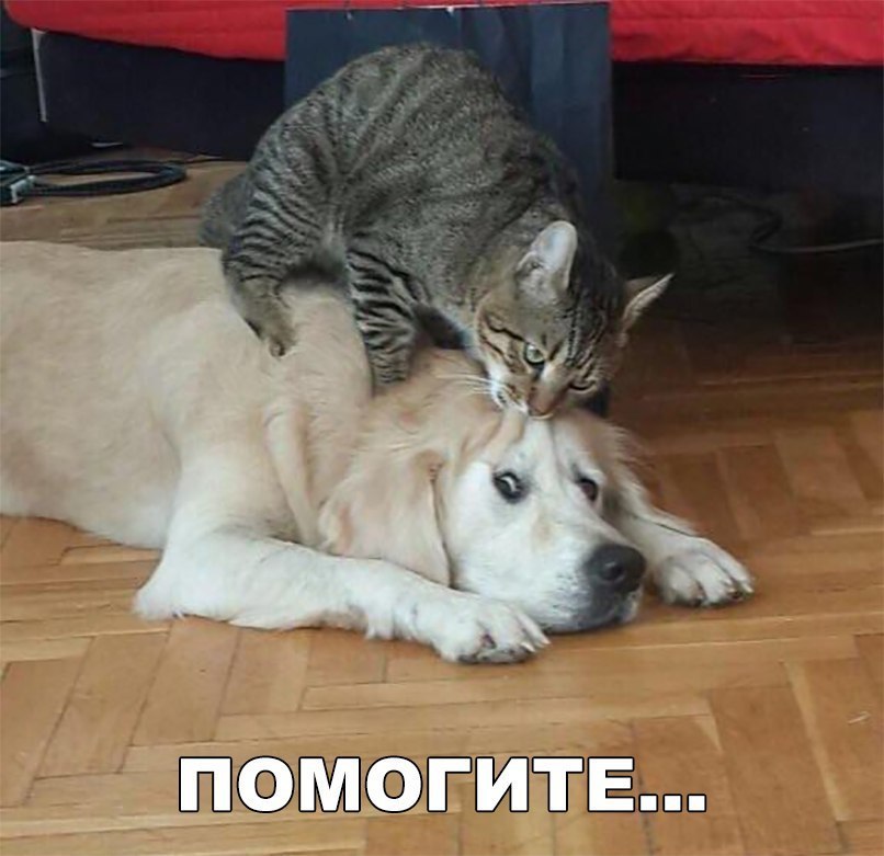 з__ т гмо ЙЁТЕ