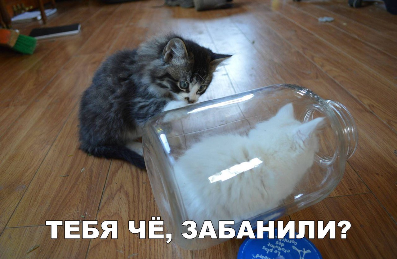 тЕБя чЁЪЗАБАнилиг
