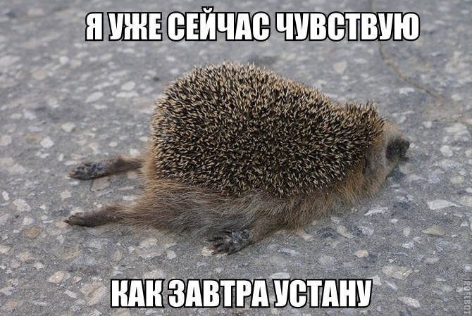 ШШПЕЕБЁЁШБШ