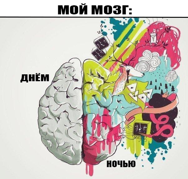 мой МПЗГ