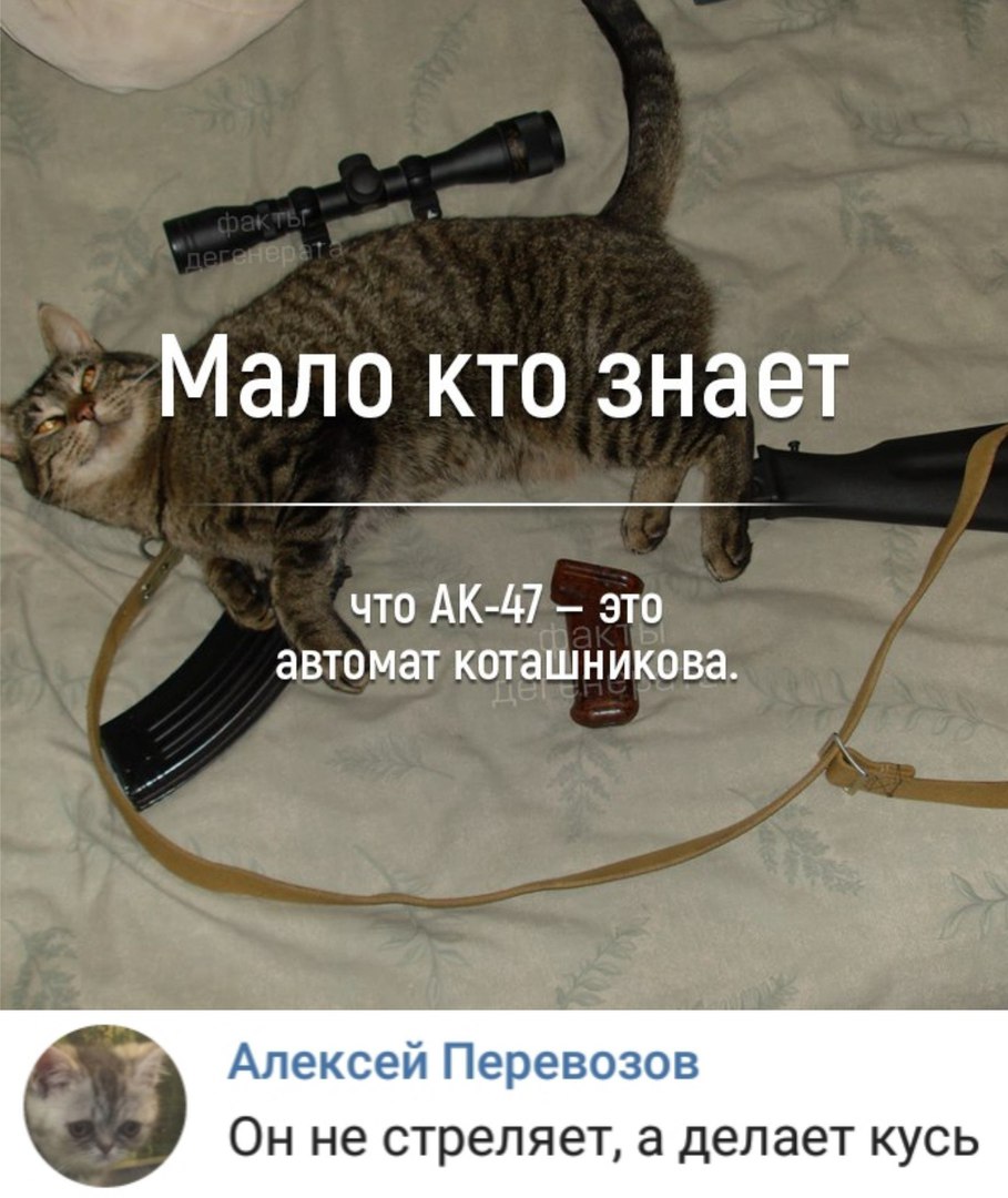 Мало кто знает что АК 47 это автомат коташникова Алексей Перевозов ОН не стреляет а делает КУСЬ