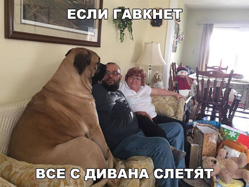 ВСЕ СЧДИВАНА СЛЕТЯТЁЕ