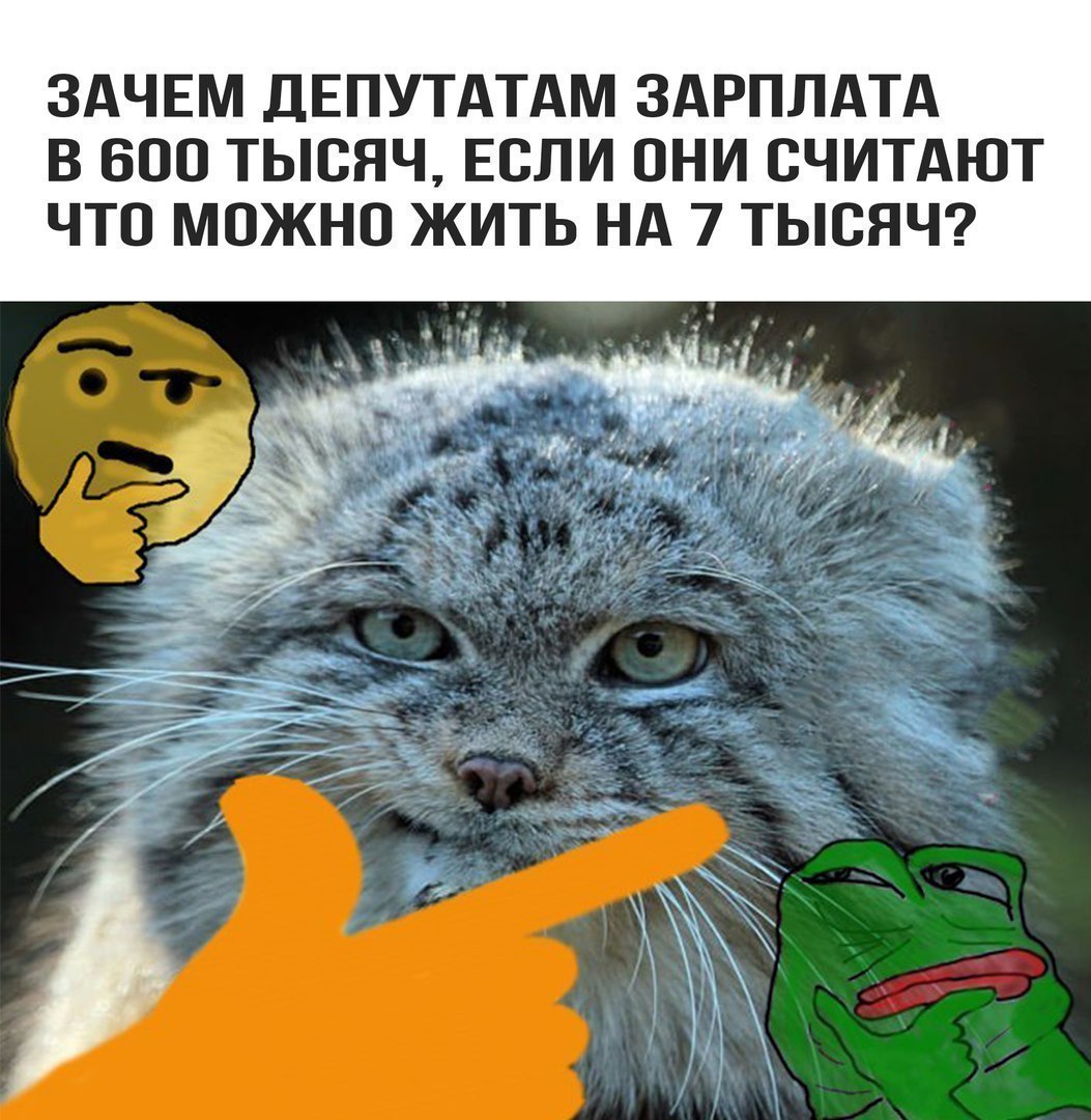 ЗАЧЕМ ДЕПУТАТАМ ЗАРПЛАТА В 600 ТЫСЯЧ ЕСЛИ ОНИ СЧИТАЮТ ЧТО МОЖНО ЖИТЬ НА 7 ТЫСЯЧ