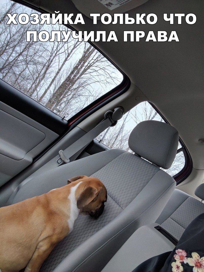 зяикд только что