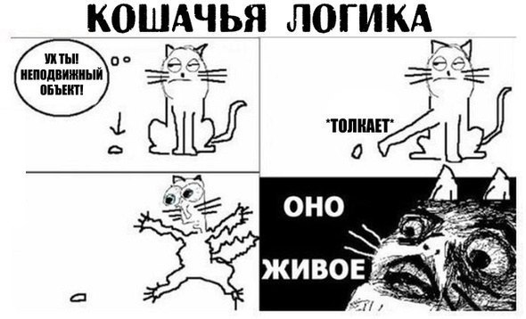 КОШАЧЬЯ ЛОГИКА ть ое ЁЁ Ч пшпшжиыа Э _ Е _ аныип ЁШБД Ы