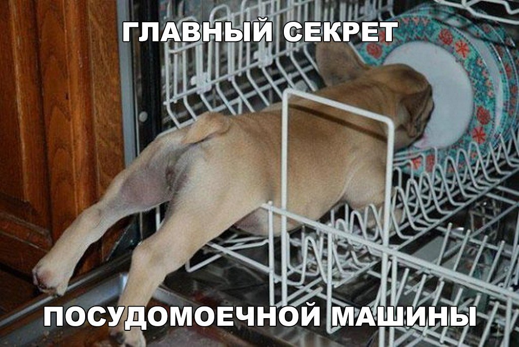 и ГЛАВНЫЙ СЕЗК РЕТ іі