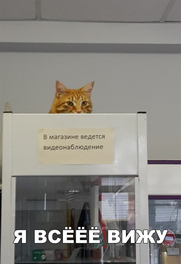 В магазине ведется ___ Видеонаблюдение