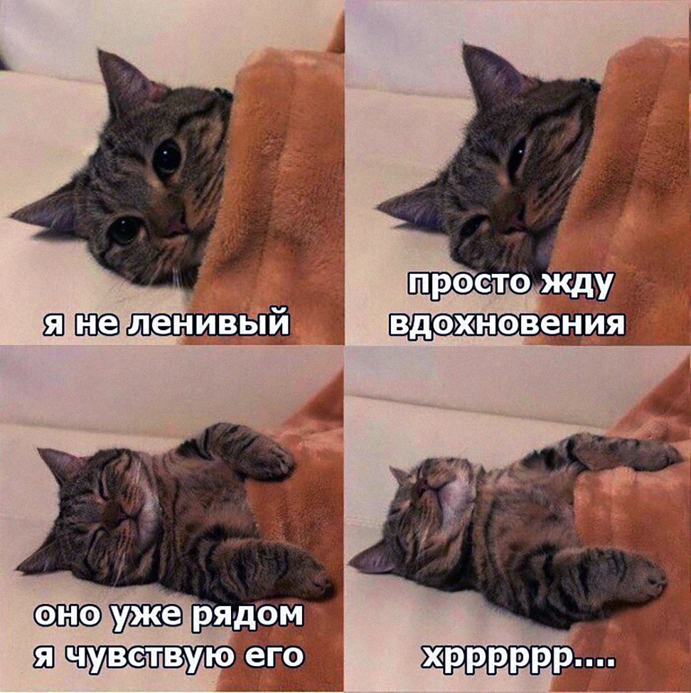 рядрпт Ш хрррррр _ д _