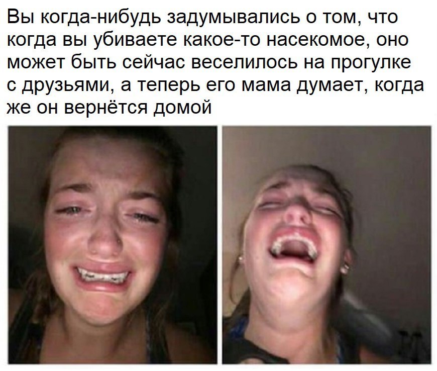 Вы когда нибудь задумывались о том что когда вы убиваете какое то насекомое оно может быть сейчас веселилось на прогулке с друзьями а теперь его мама думает когда же он вернётся домой