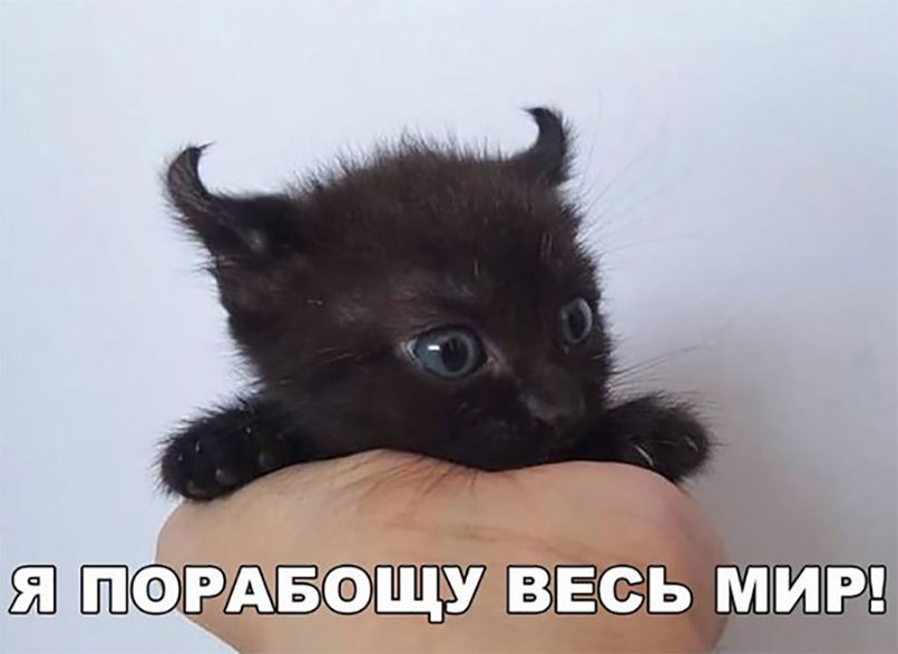 ЕЁ АБОЩУ ЁЁ ЩЩБЭЪЗ
