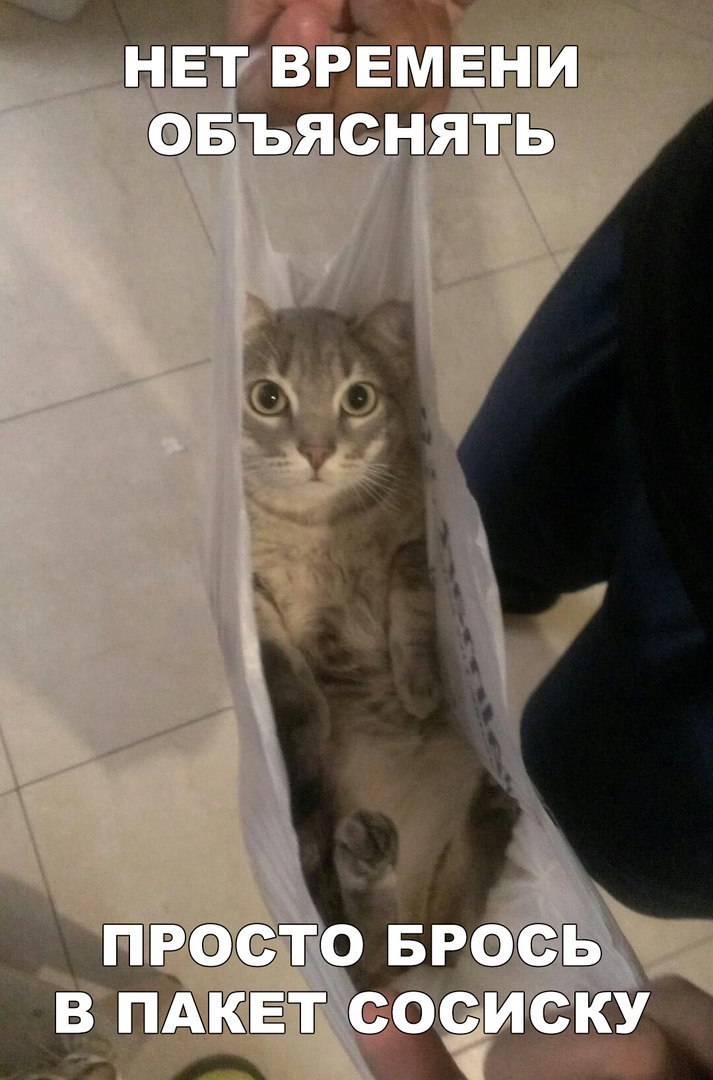 3 ёщдіэггшш отъ то 599 Ёт со _ _ _