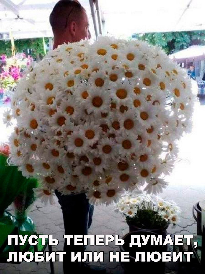 ЛЮБИТ ИЛИ НЕ ЛЮБИТ