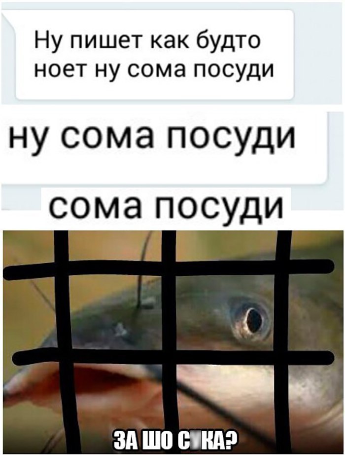 Ну пишет как будто ноет ну сома посуди ну сома посуди сома посуди ЗА ШП ШПД