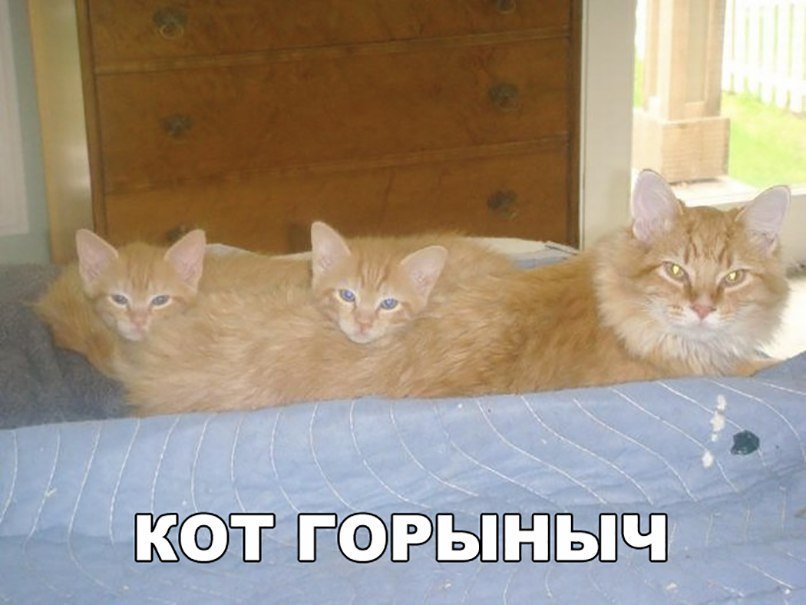 Ё ЬПЁПЁЗЩЗ