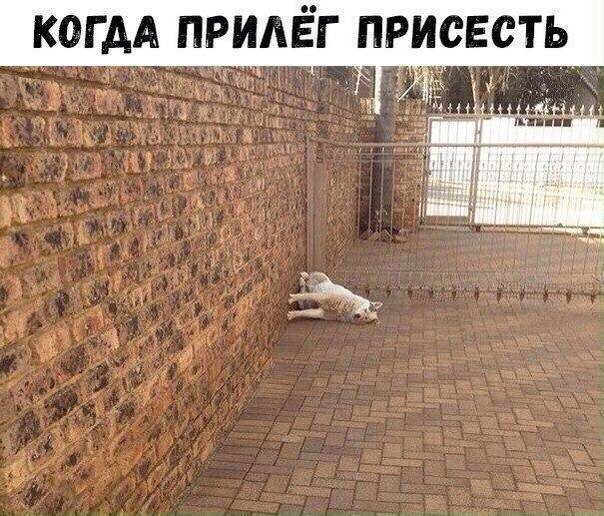 КОГ АА ПРИАЁГ ПРИСЕСТЬ