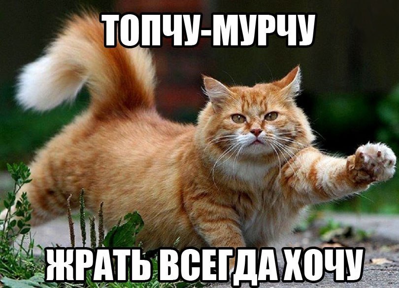 ТШПШ МУРЧУ нппь Зенд Еще
