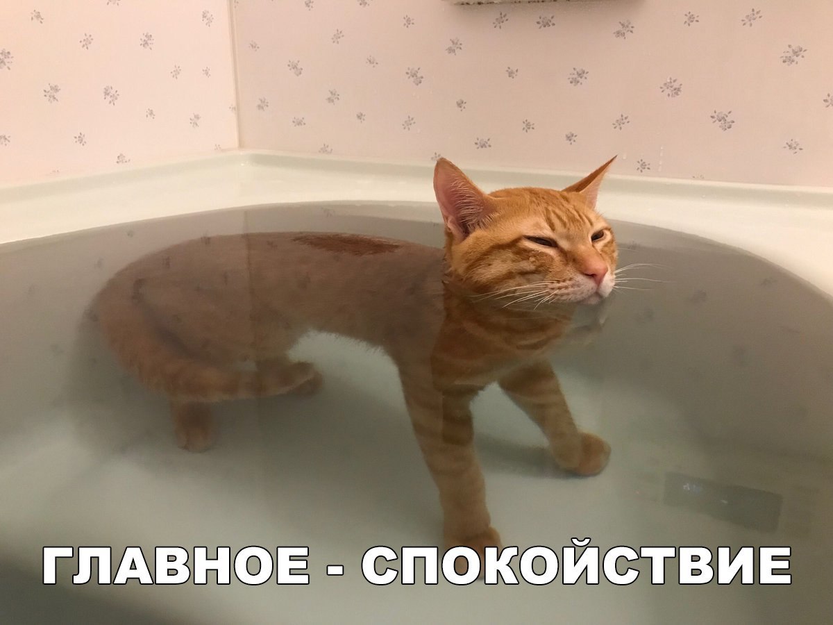 ГЛАВНОЕ СПОКОЙСТВИЕ