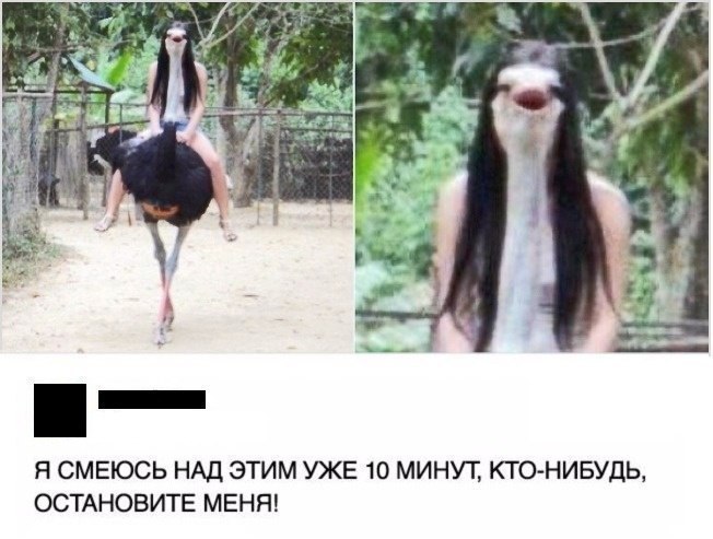Я СМЕЮСЬ НАД ЭТИМ УЖЕ 10 МИНУТ КТО НИБУДЬ ОСТАНОВИТЕ МЕНЯ