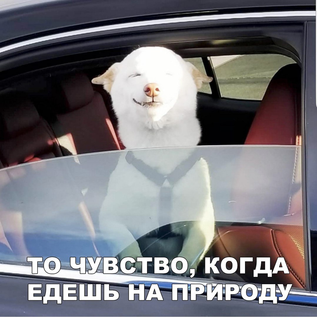 ЕдЕШЬТНА природу