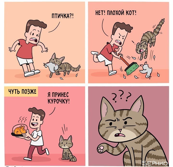 НЕТ ПАОХОЙ КОТ ПТИЧКА Я ПРИНЕС КУРОЧКУ ЧУТЬ ПОЗЖЕ