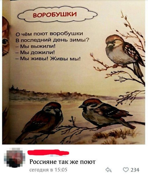 ВОРОБУШКИ чем поют воробушки поспедний день зимы выжили дшмпиі живы Живы мы Россияне так же поют жч1нзч 234