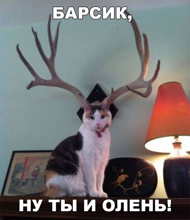 ну ты и стены
