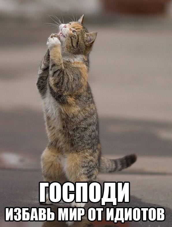 ПШШЩИ ИЗБАВЬ М_ИР П ИДИЩВВ