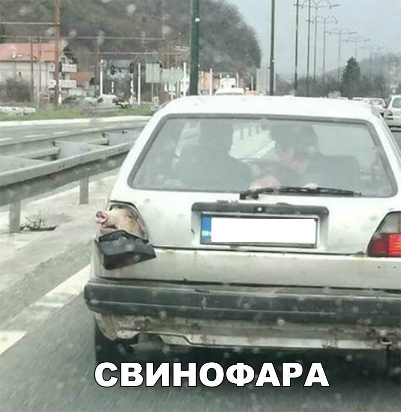 СВИНОФАРА
