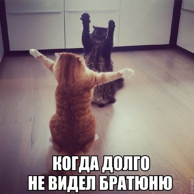 НЕ ВИДЕЛ БРАТЮНЮ Ё