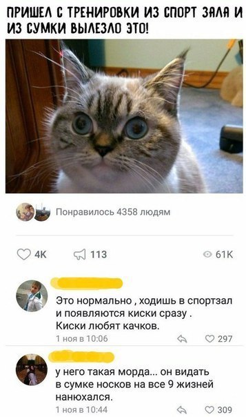 ПРИШЕА Б ТРЕНИРПВКИ ИЭ СППП ЭМИ И ИЗ СУМКИ БЫЛИШ ЭТП Поиранилосп4358 люд АИ на кпк Киски любят качков и 1ч7 да в сумке носков на все 9 жизней нм _ зпв