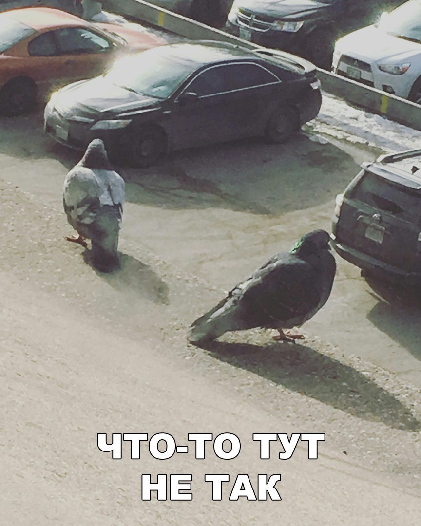 ёі Ш Ё
