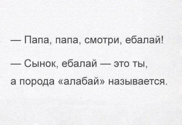 Папа папа смотри ебалай Сынок ебапай это ты а порода алабай НЭЗЫВЭЕТСЯ