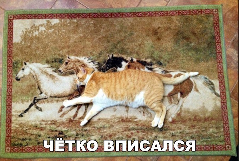четко ВПИДСАЛСЯ