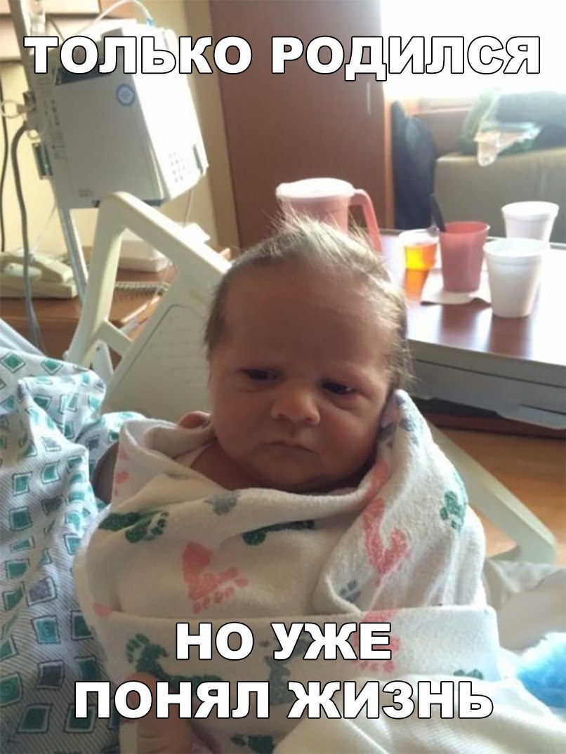 понял жинЬ