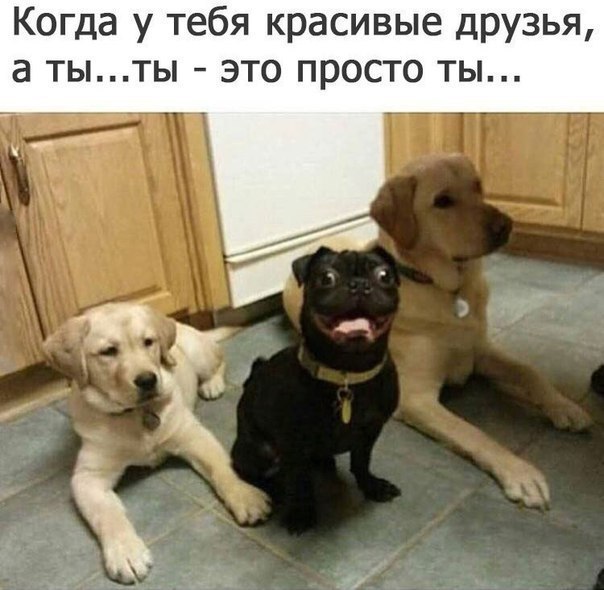 Когда у тебя красивые друзья а тыты это просто ты