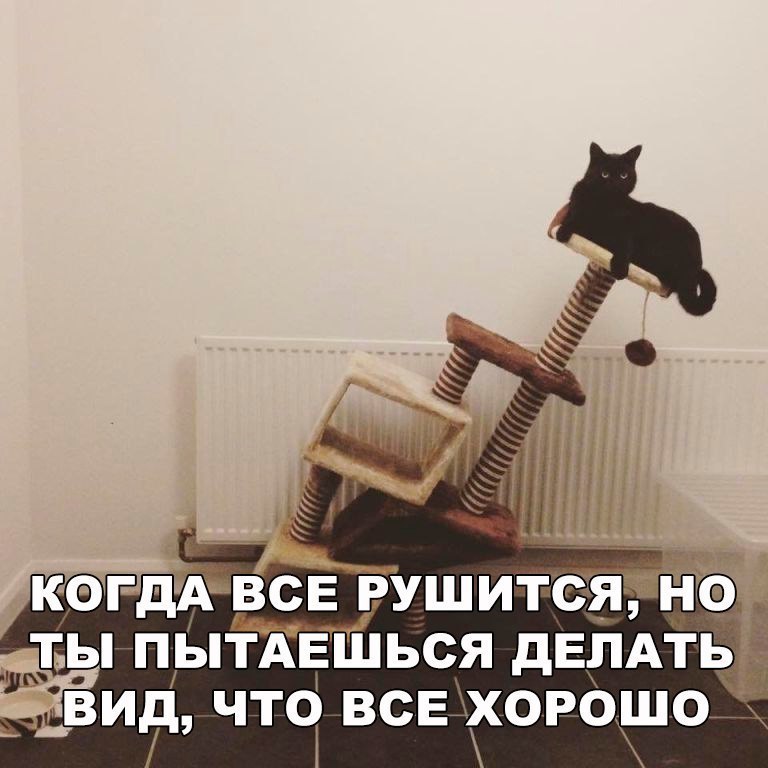 на ты ПЫТАЕШЬСЯ дЕЛАТЬ о вид что всв харашоц